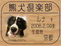 ��Ȃ�����̂a�k�n�f�ւf�n�I